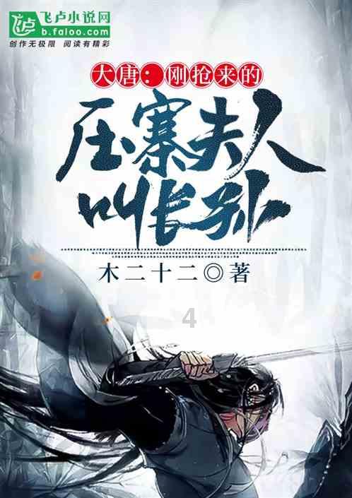 银装素裹!超A大片!青岩古镇&寻坊初雪美图来啦!